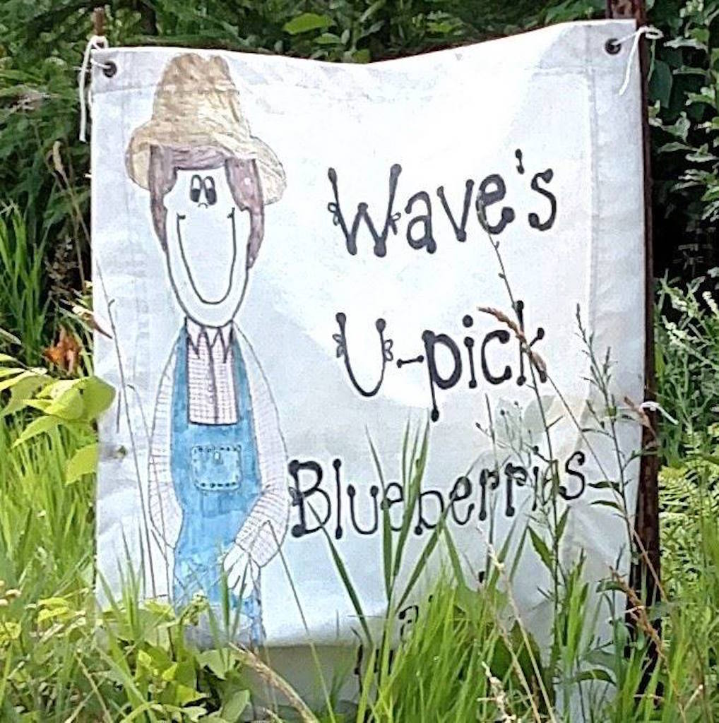 Wave U-Pick Blueberries