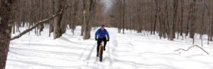 winter fat biking
