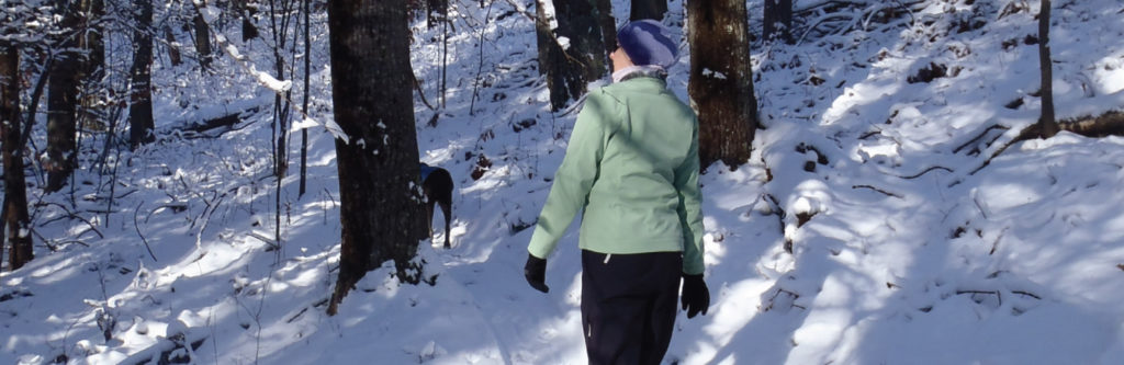 Get out and snowshoe in Manistee County