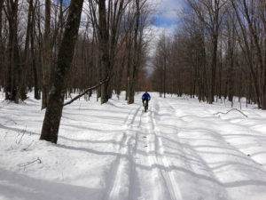 XC Skier on Big M Trail