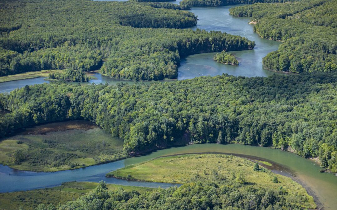 Big Manistee River