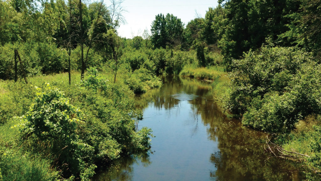 Outdoor Adventure in Manistee’s North Woods