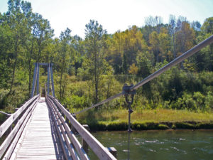 Suspension bridge on Manistee River Trail