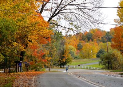 Inland Fall Color Self-Guided Tour