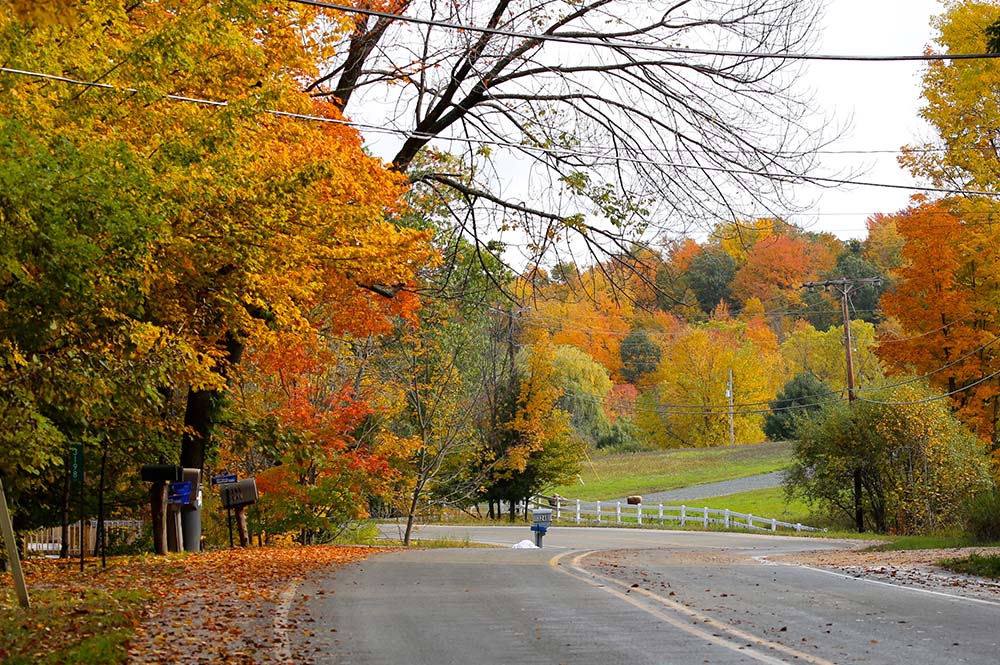 Inland Fall Color Self-Guided Tour