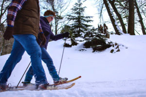People cross country skiing on trail