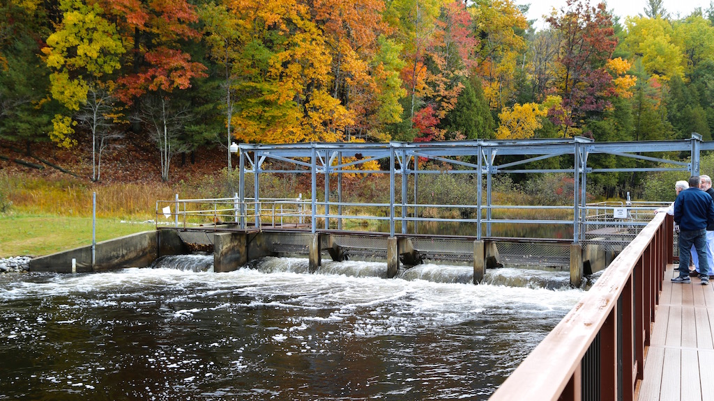 little manistee river access