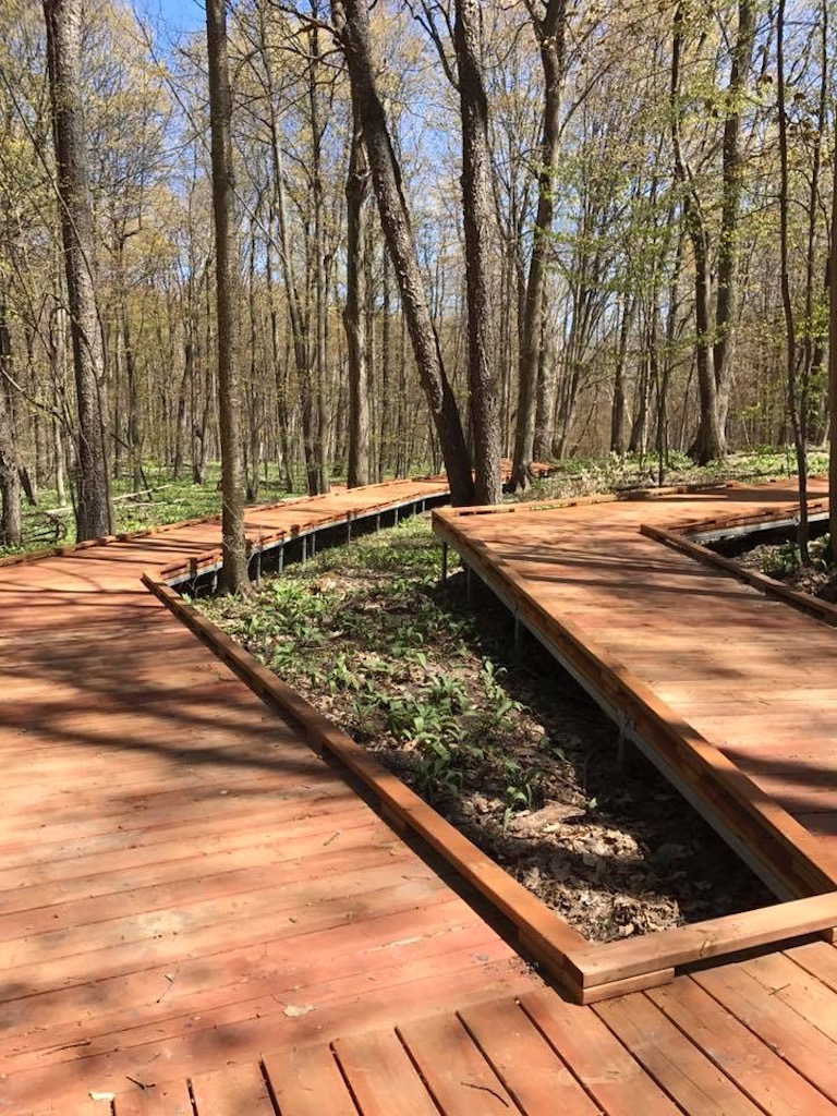 ADA accessible trail south of Old Baldy - photo credit Shannon Westgate
