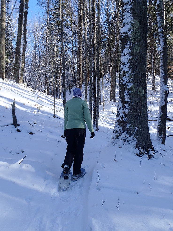 image of woman snowshoeing on Manistee River Trail