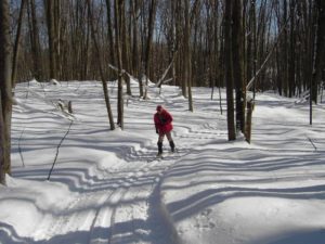 Man cross country skiing at Big M recreation area