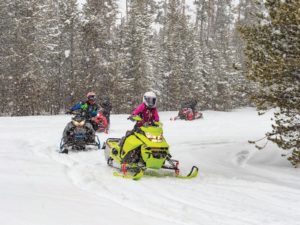 snowmobiles on trail