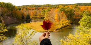 Hand holding leaf in front of river view