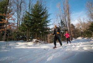 Skiing winter trails
