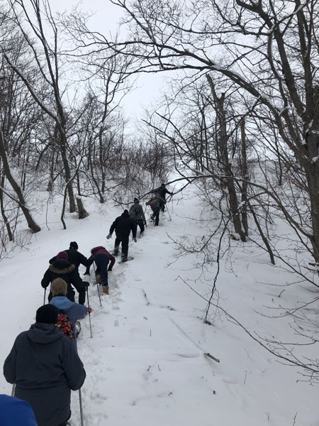 Line of people snowshoeing