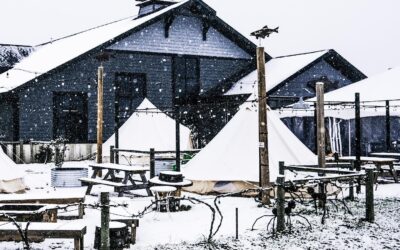 Manistee County Winter Side Quests