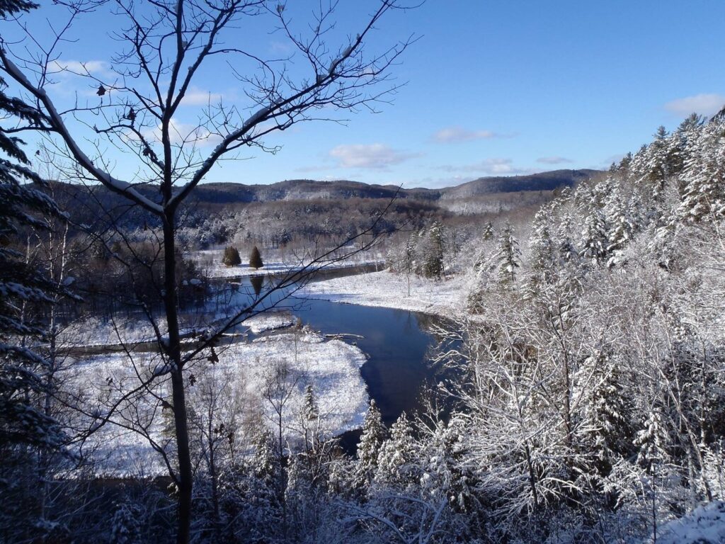 Manistee River in winter