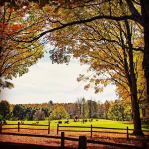 Manistee Nation Golf Course in fall