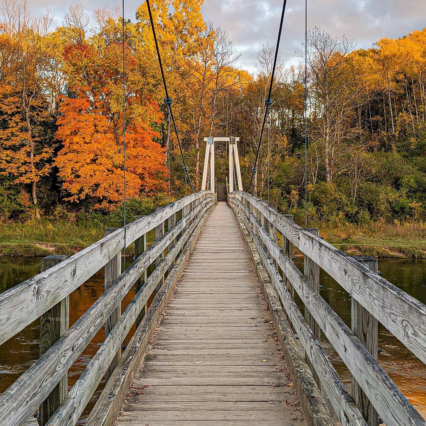 Manistee River Trail suspension bridge