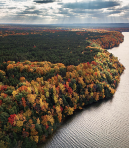 Manistee coastline in fall