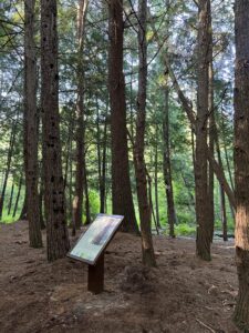 Welson Arboretum Trail