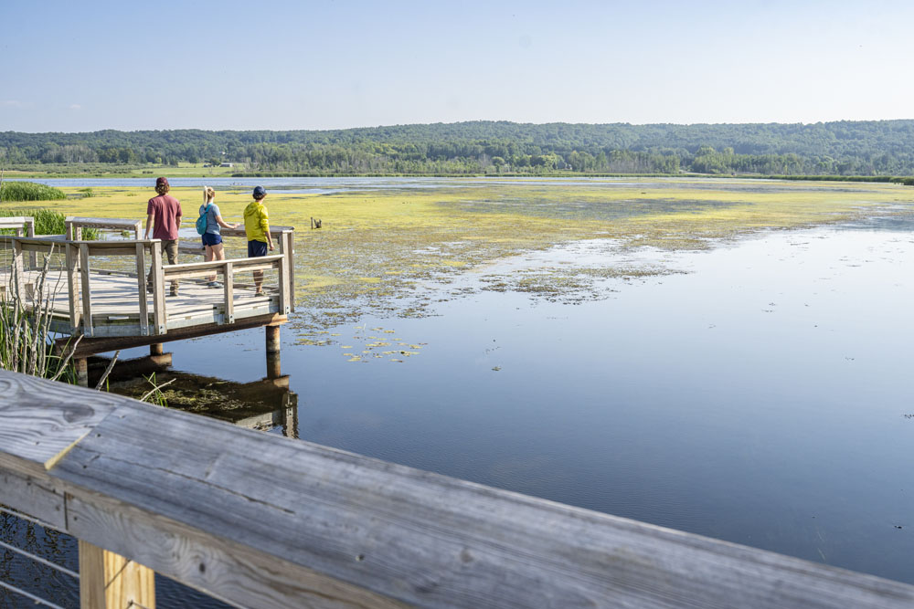 Exploring the boardwalk through the Arcadia Marsh nature preserve. People on boardwalk overlooking Arcadia Marsh