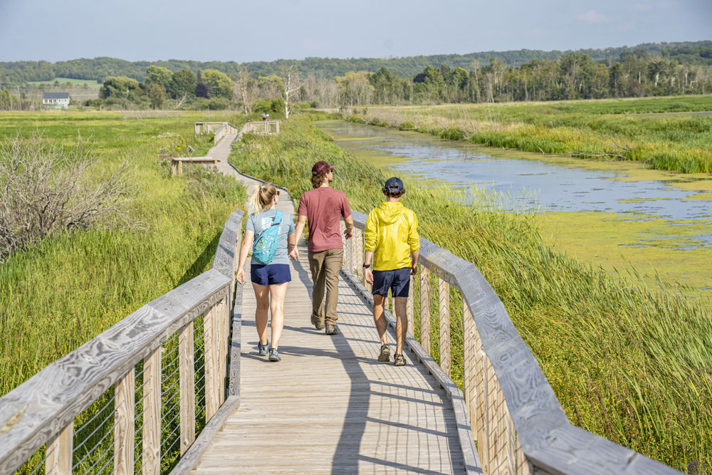 Exploring the boardwalk through the Arcadia Marsh nature preserve. People walking the boardwalk at Arcadia Marsh