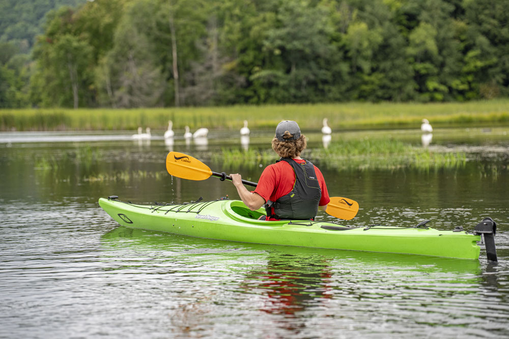 Kayaking on the Manistee River. Kayaking on the river