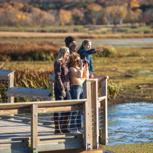 People walking fall trail
